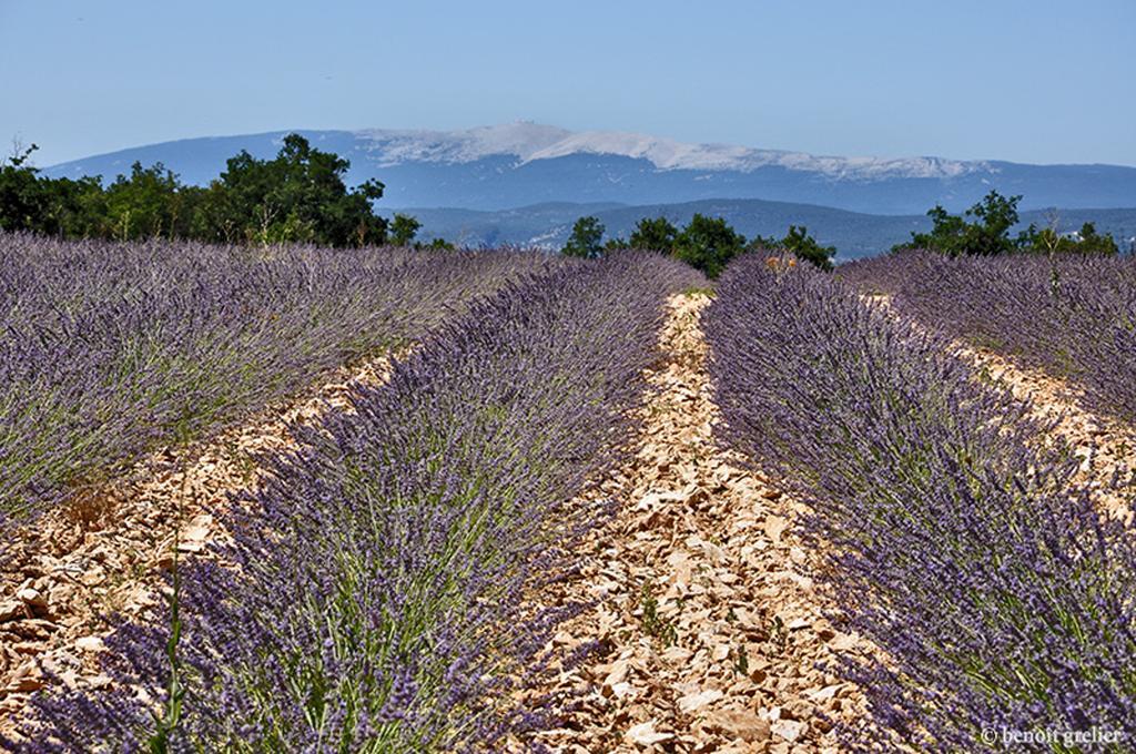 Готель Domaine Les Chenes Blancs Сен-Сатюрнен-д'Апт Екстер'єр фото